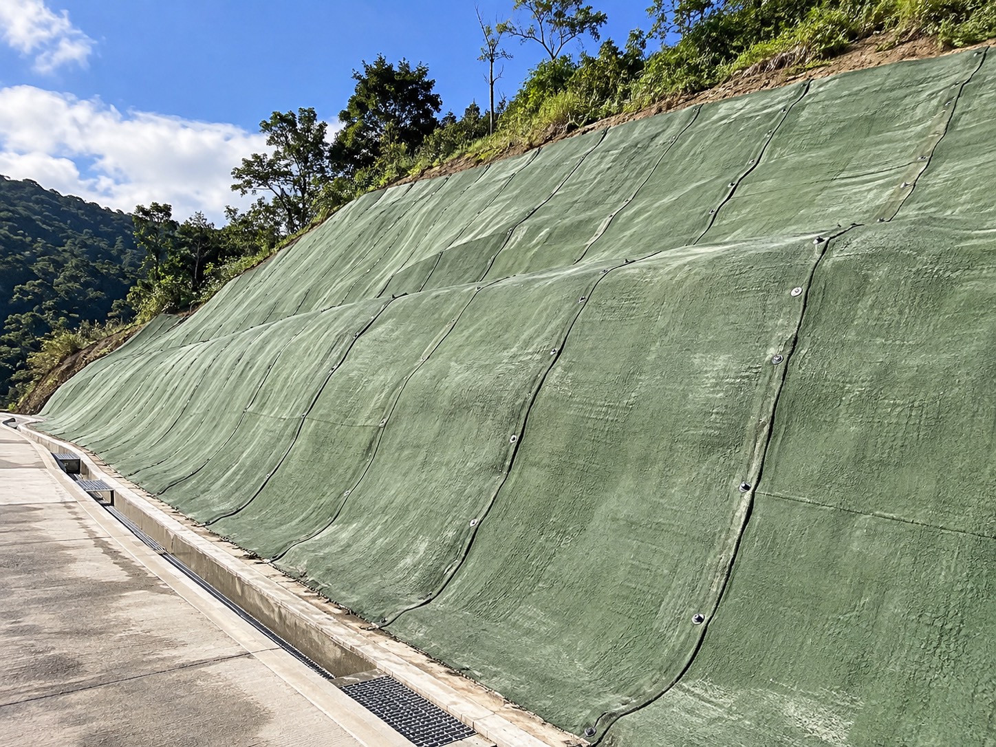 道路旁坡面鋪設展示,使用者提供照片